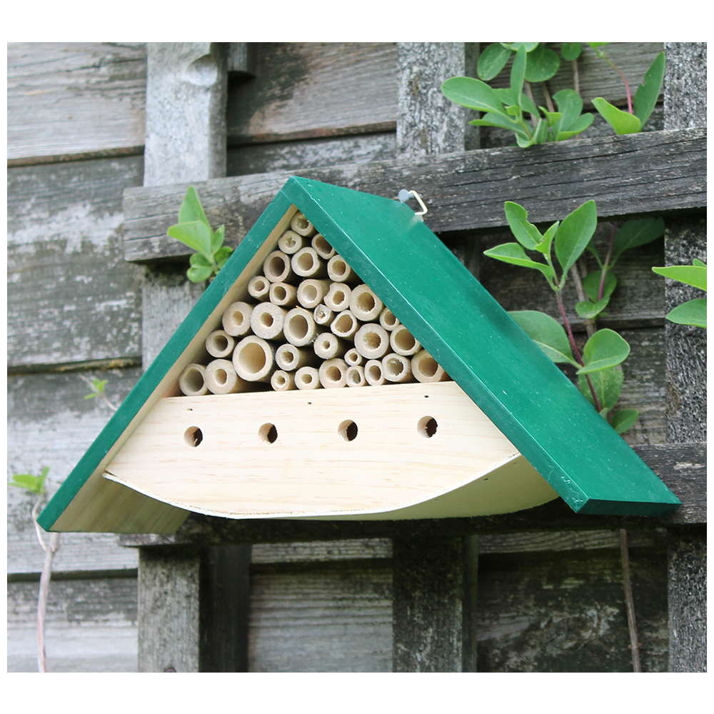 Apex Insect House