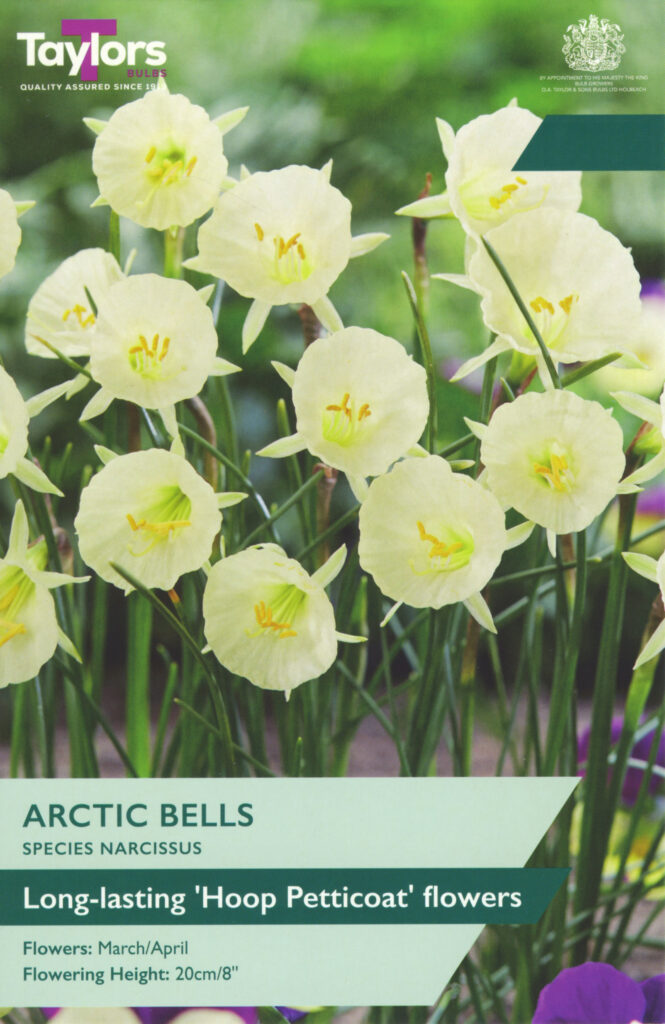 Arctic Bells