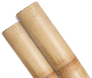 Bamboo Canes