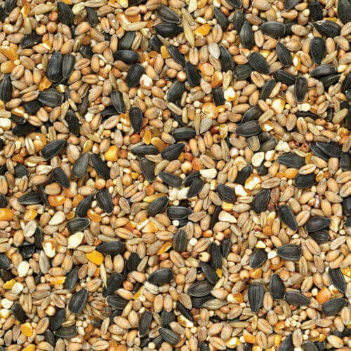 Wild Bird Feed 15KG