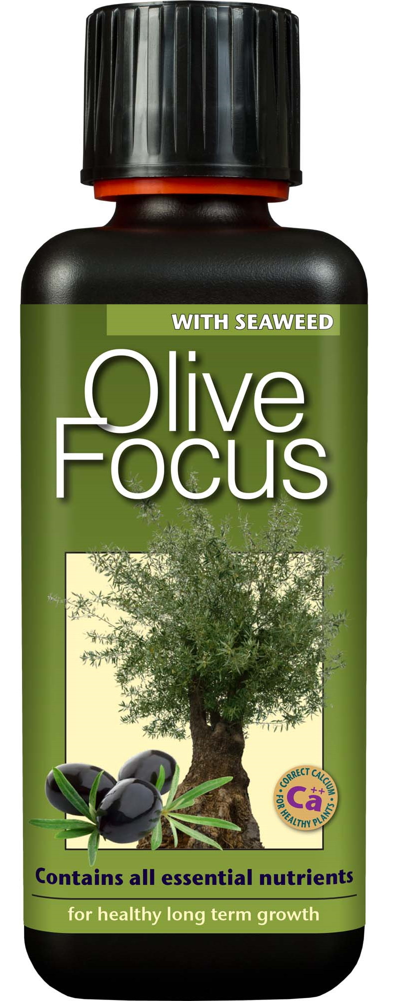 Growth Technology Olive focus 300ml
