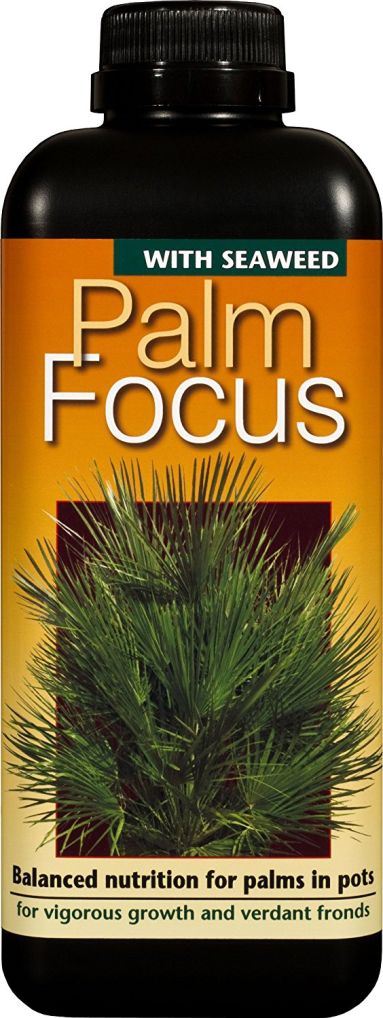 Growth Technology Palm Focus 300ml