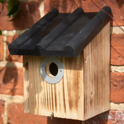Tom Chambers Crest Nest Box PRB033